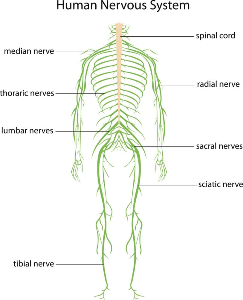 nerve pain treatment bedford bedfordshire